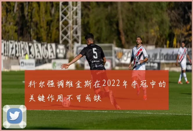 科尔强调维金斯在2022年夺冠中的关键作用不可或缺