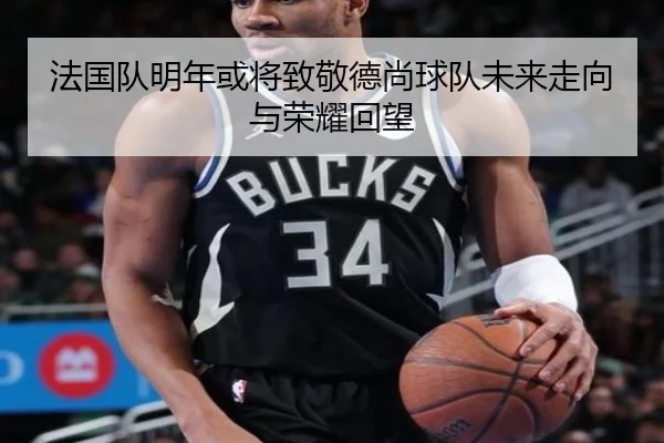法国队明年或将致敬德尚球队未来走向与荣耀回望